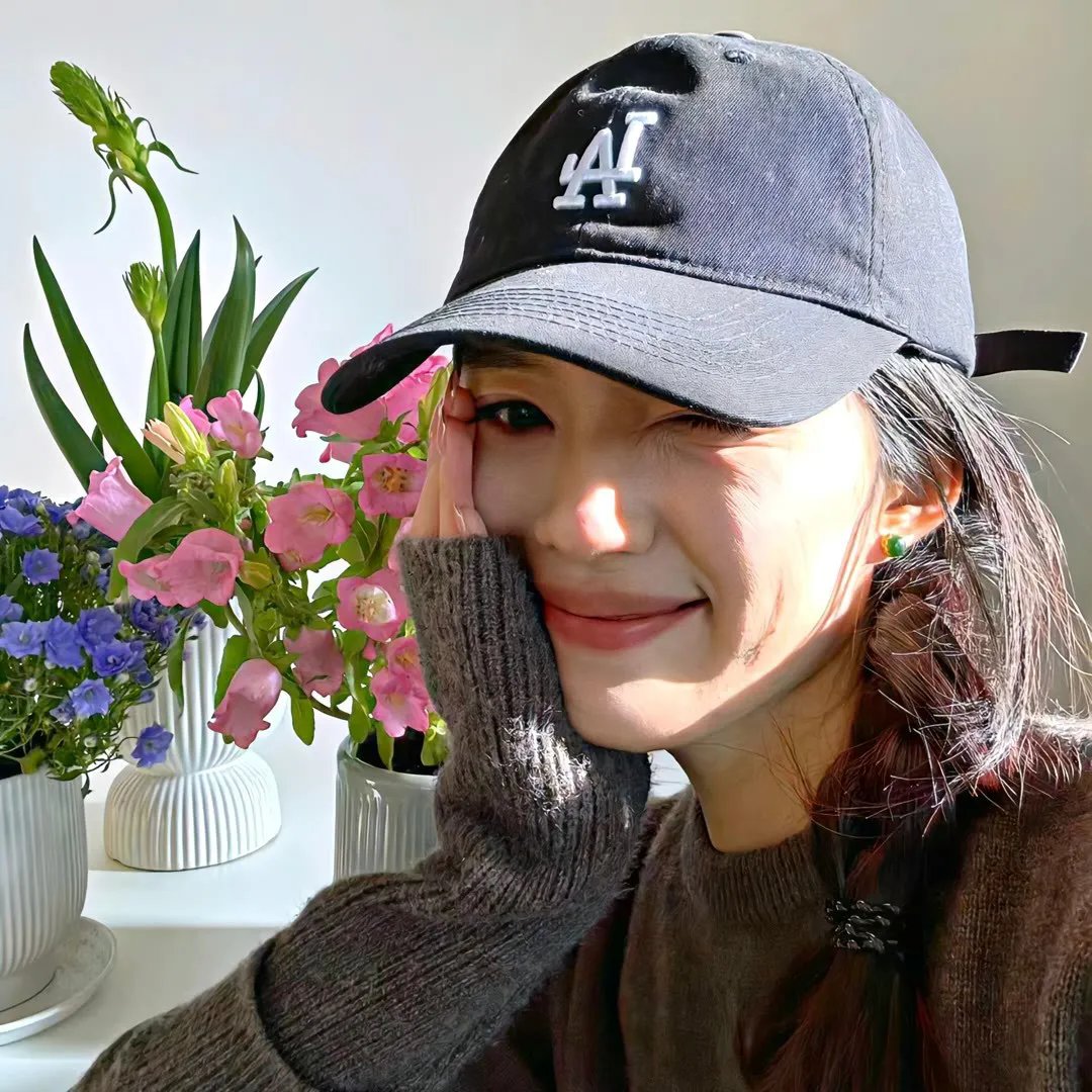 来自收容所的爱